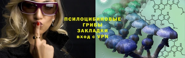 прущие крисы Белоозёрский
