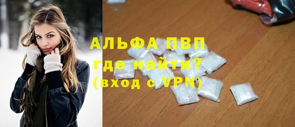 индика Беломорск