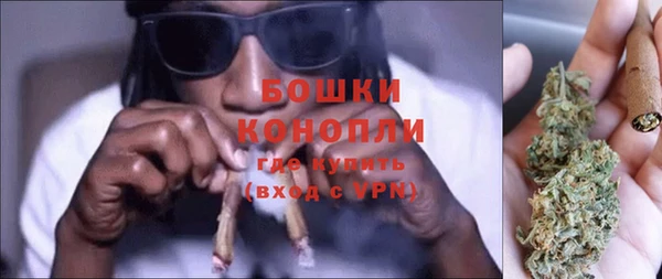 индика Беломорск