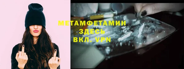 индика Беломорск