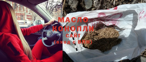 индика Беломорск