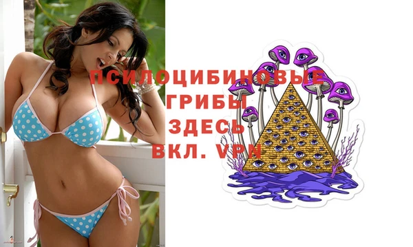 прущие крисы Белоозёрский