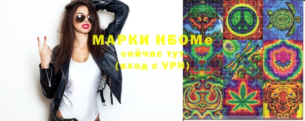 индика Беломорск