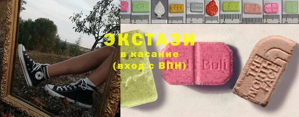 индика Беломорск