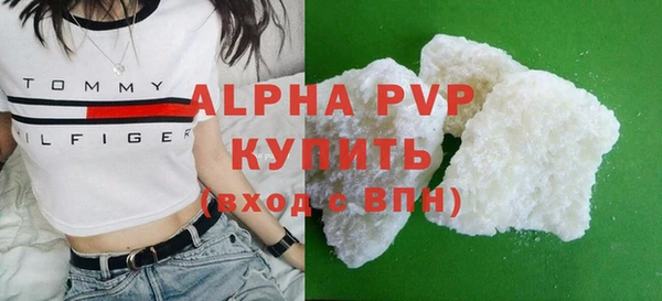 индика Беломорск
