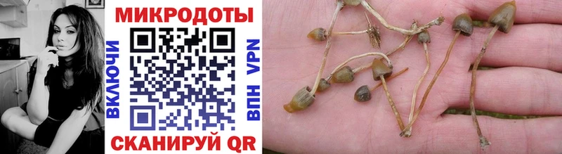 как найти закладки  Маркс  Галлюциногенные грибы Psilocybe 